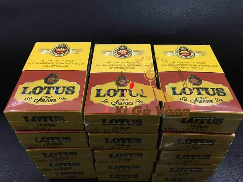 Sản phẩm cigar Lotus 10 short